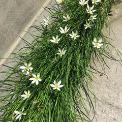 Гостевой дом Анита, Агой, Краснодарский край