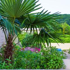 Гостевой дом Анита, Агой, Краснодарский край