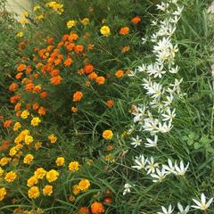 Гостевой дом Анита, Агой, Краснодарский край