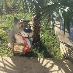 Гостевой дом Анита, Агой, Краснодарский край