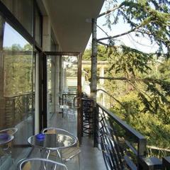 Отель Флора, Адлер, Краснодарский край