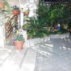 Отель Флора, Адлер, Краснодарский край