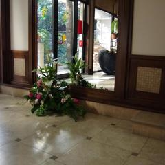 Отель Флора, Адлер, Краснодарский край