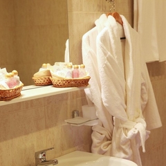 Гостиница Золотой дельфин, Адлер, Краснодарский край