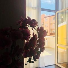 Отель Медовая, Адлер, Краснодарский край