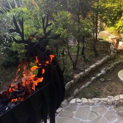 Отель Медовая, Адлер, Краснодарский край