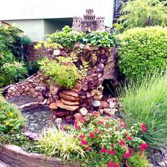 Гостевой дом VIVA Виктория, Адлер, Краснодарский край