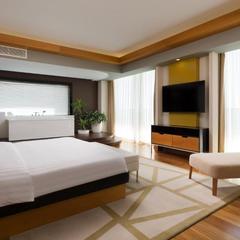 Отель  Radisson Blu Resort & Congress Centre, Адлер, Краснодарский край