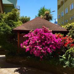 Гостевой дом VIVA Виктория, Адлер, Краснодарский край