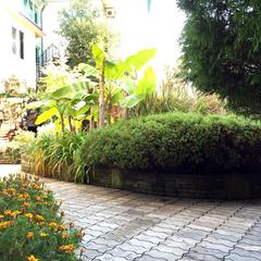 Гостевой дом VIVA Виктория, Адлер, Краснодарский край