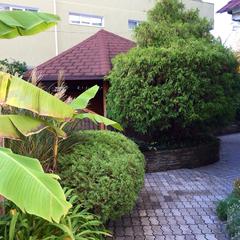 Гостевой дом VIVA Виктория, Адлер, Краснодарский край