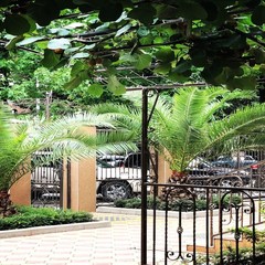 Отель Надежда, Адлер, Краснодарский край