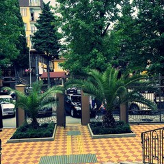 Отель Надежда, Адлер, Краснодарский край