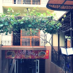 Отель Надежда, Адлер, Краснодарский край