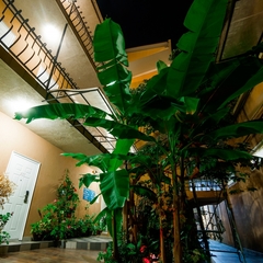 Гостиница Вилла Дежа Вю, Адлер, Краснодарский край