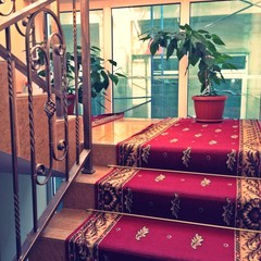 Отель Надежда, Адлер, Краснодарский край