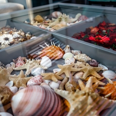 Гостиница Вилла Дежа Вю, Адлер, Краснодарский край