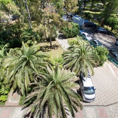 Отель Мечта, Адлер, Краснодарский край