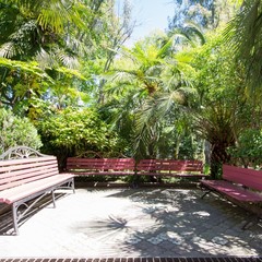 Отель Мечта, Адлер, Краснодарский край