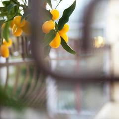 Отель Афина, Адлер, Краснодарский край