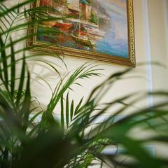 Отель Афина, Адлер, Краснодарский край