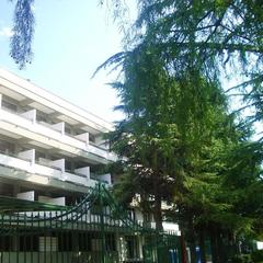 Отель Спорт, Адлер, Краснодарский край