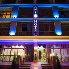 Отель Бутик-Отель ANI, Адлер, Краснодарский край