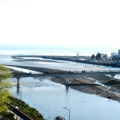 Отель Цитрус, Адлер, Краснодарский край