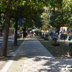 Отель Спорт, Адлер, Краснодарский край