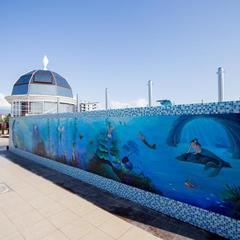 Отель Shine House, Адлер, Краснодарский край
