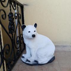 Гостевой дом Вилла Босса, Адлер, Краснодарский край