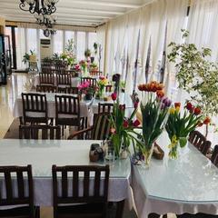 Отель Тамара, Адлер, Краснодарский край