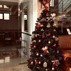 Отель Марианна, Адлер, Краснодарский край