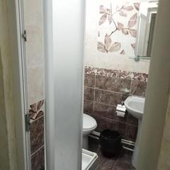 Гостевой дом Эллаиса, Адлер, Краснодарский край