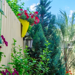 Отель Marina Inn, Адлер, Краснодарский край