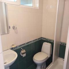 Гостевой дом Эллаиса, Адлер, Краснодарский край