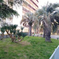 Гостевой дом Эллаиса, Адлер, Краснодарский край