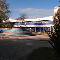 Гостевой дом Эллаиса, Адлер, Краснодарский край