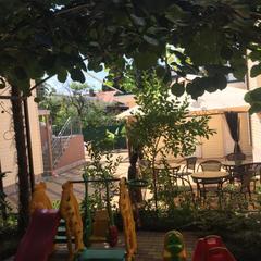 Гостевой дом Елена, Адлер, Краснодарский край