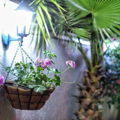 Отель Родос, Адлер, Краснодарский край