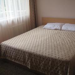 Гостевой дом Елена, Адлер, Краснодарский край