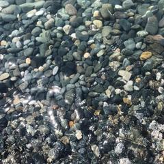 Гостевой дом Елена, Адлер, Краснодарский край