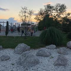 Гостевой дом Елена, Адлер, Краснодарский край