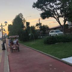 Гостевой дом Елена, Адлер, Краснодарский край