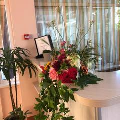 Гостевой дом Елена, Адлер, Краснодарский край