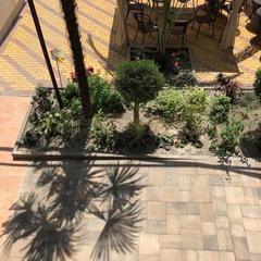 Гостевой дом Елена, Адлер, Краснодарский край