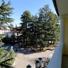 Отель Новое Время, Адлер, Краснодарский край