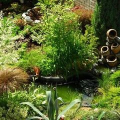 Гостевой дом Джона, Адлер, Краснодарский край