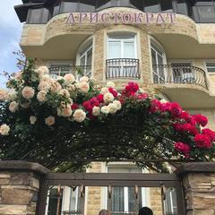 Гостиница Аристократ, Адлер, Краснодарский край