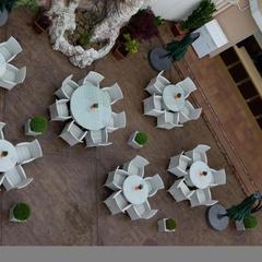 Отель АС, Адлер, Краснодарский край